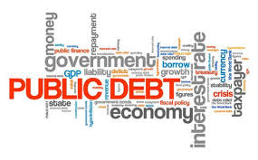 Public Debt Management 